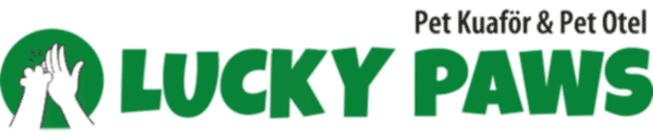 Lucky Paws | Pet Otel - Pet Kuaför